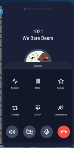 RingQ in-call functions